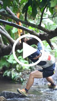 BIB:  <button type="button" onclick="openModal(27824571)" class="btn btn-primary btn-sm float-right" data-toggle="modal" data-target=".modal-high-quality">
                <i class="fa fa-download"></i> Download
                </button>